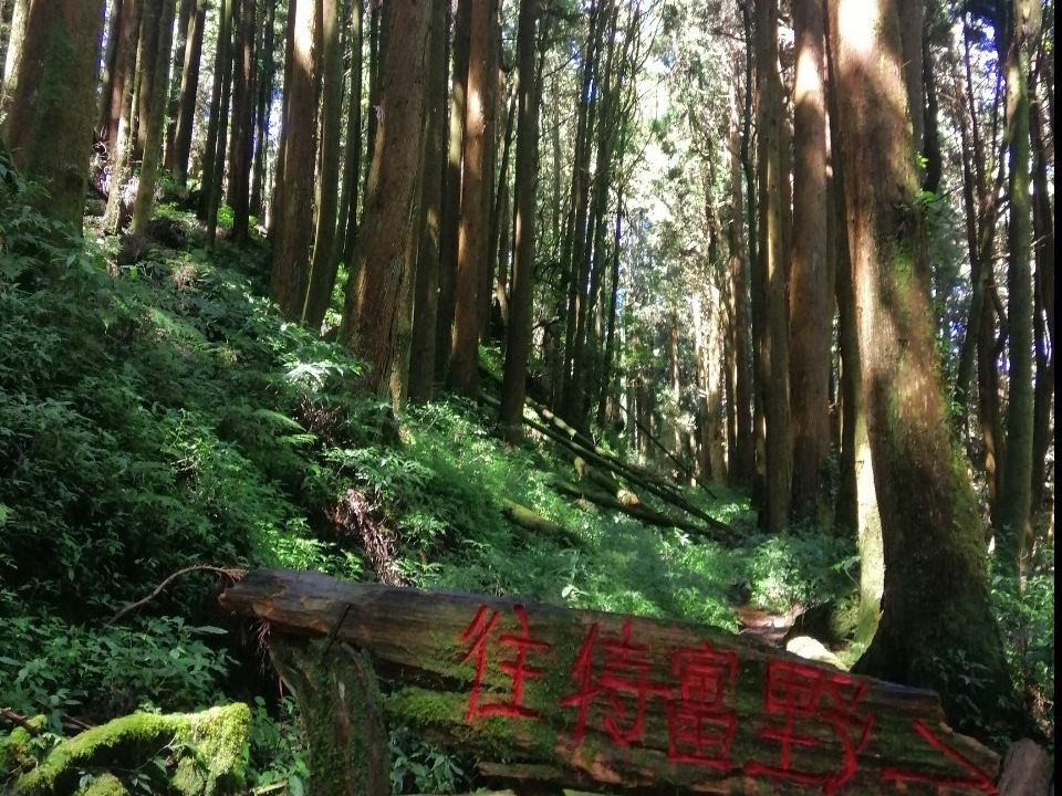 神秘塔塔加～特富野古道、東埔美人湯之旅(親山健行二日遊)