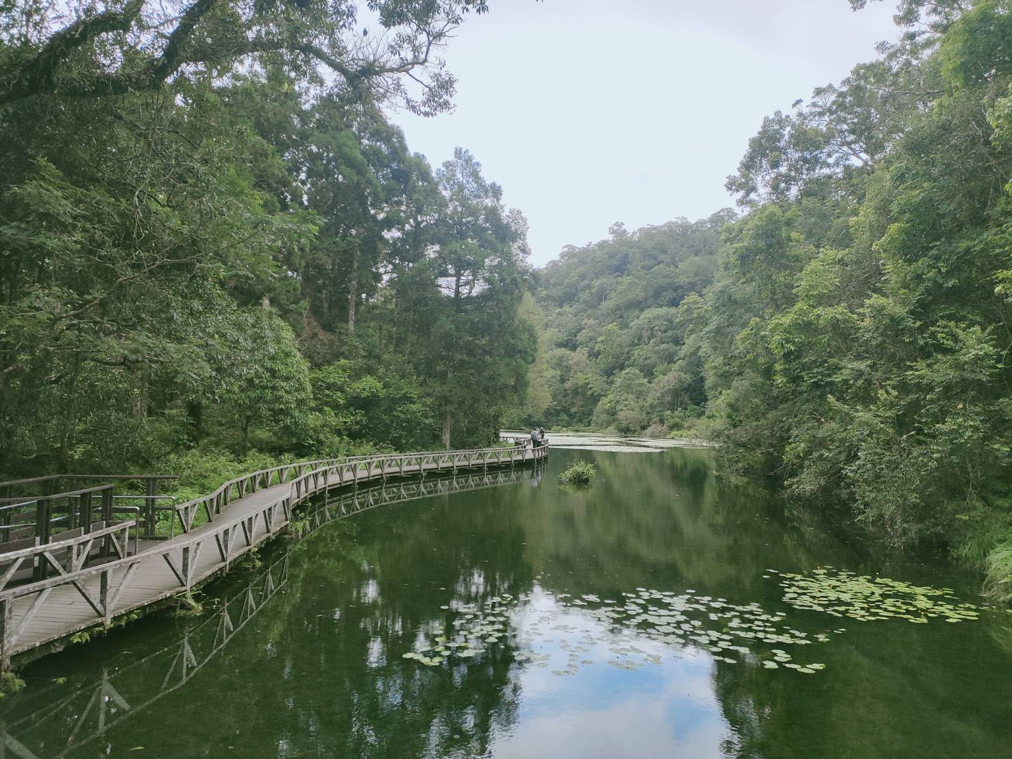 宜蘭★福山植物園★山林秘境生態寶庫