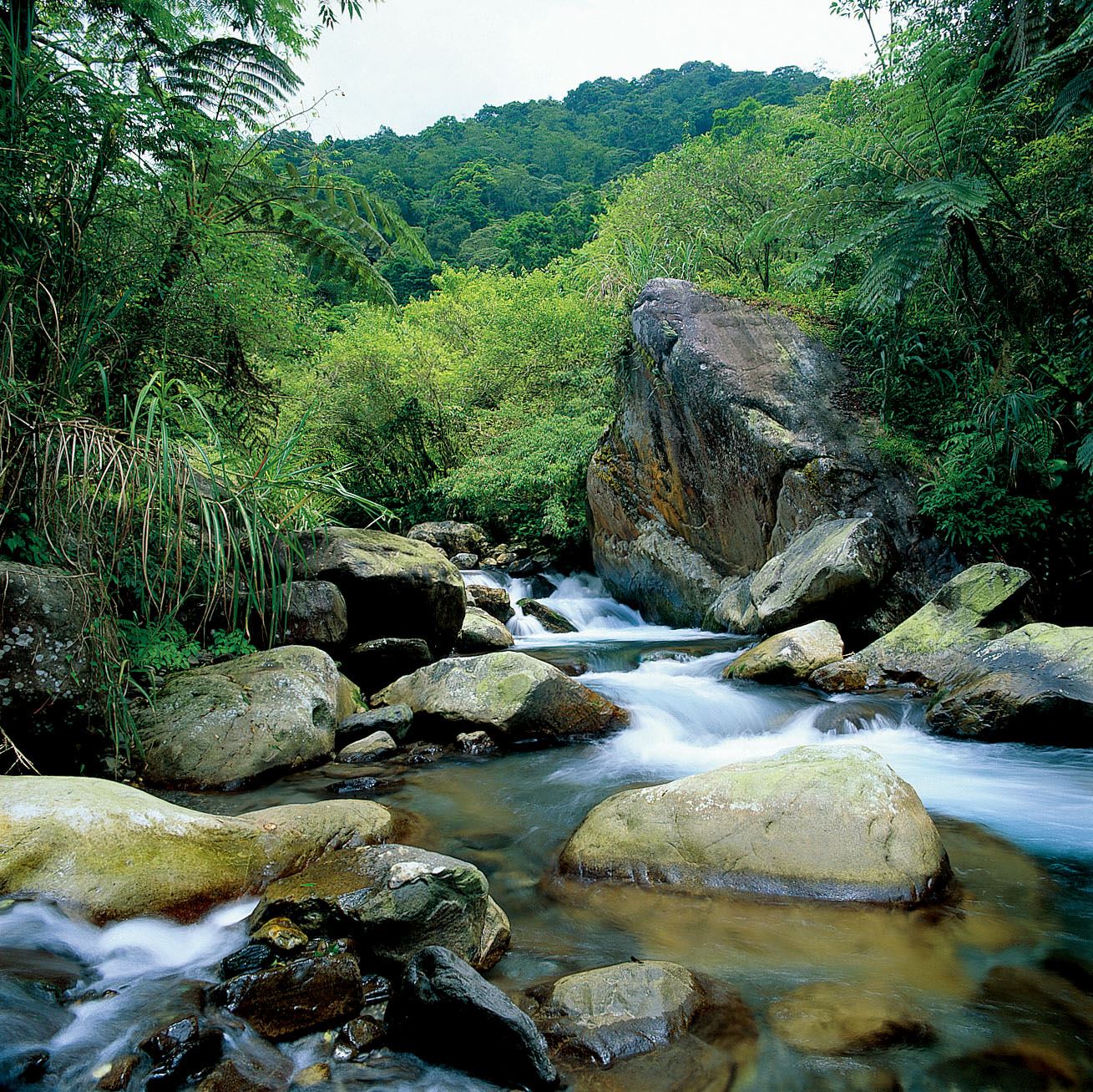 宜蘭★松羅國家步道/長埤湖水行俠主題樂園★