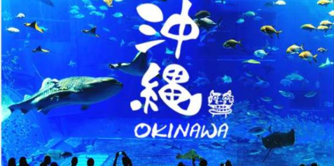 日本 沖繩(久米島)