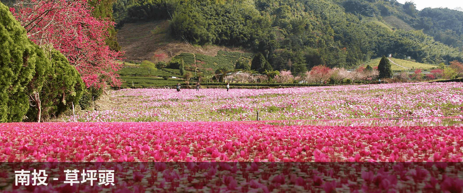 草坪頭