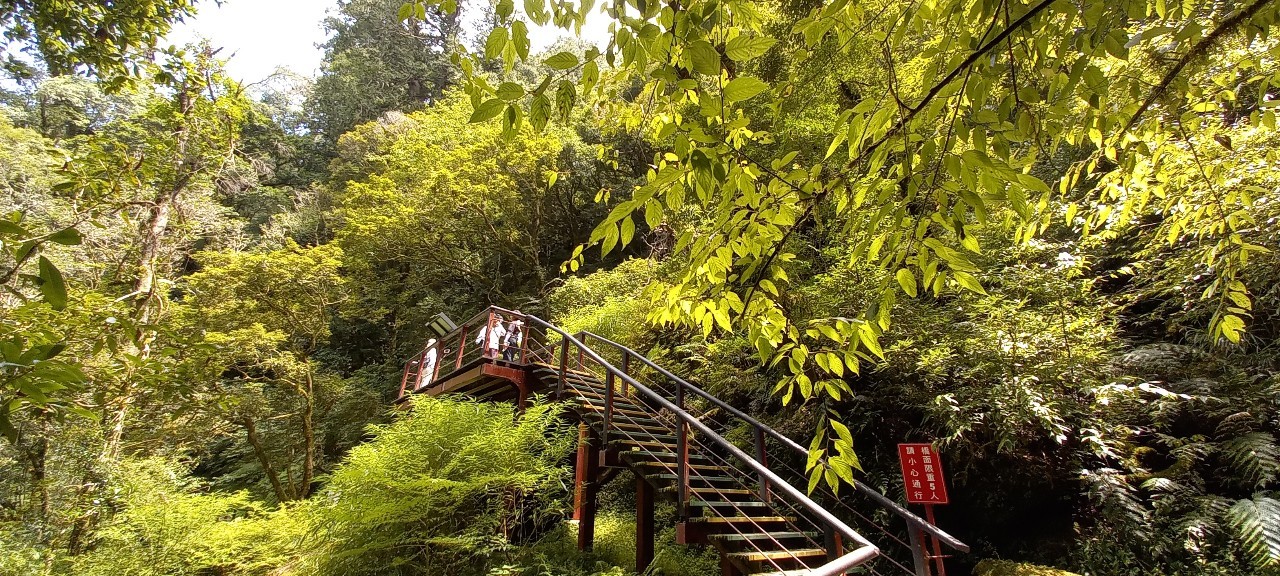 明池繡球花季、拉拉山綠韻漫遊（繽紛2日遊）