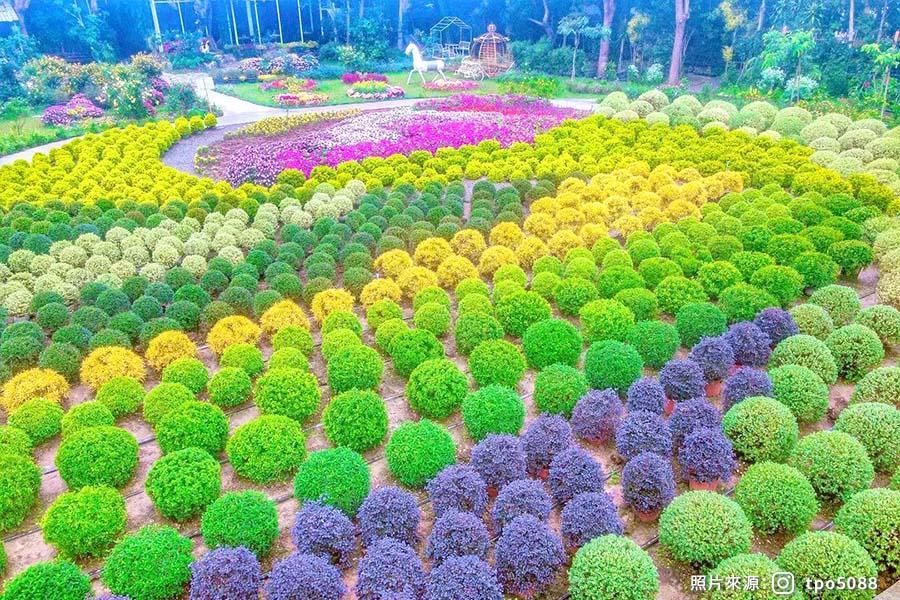 苗栗★花露農場繡球花季★
