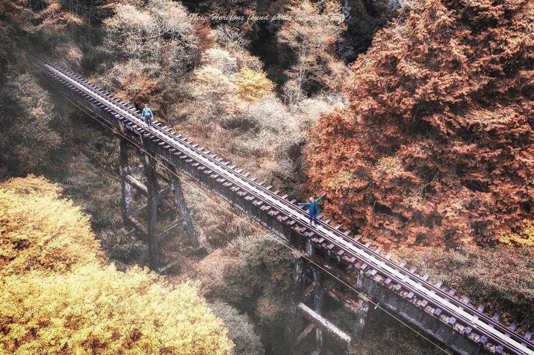 失落的秘境～阿里山眠月線(探秘二日遊)