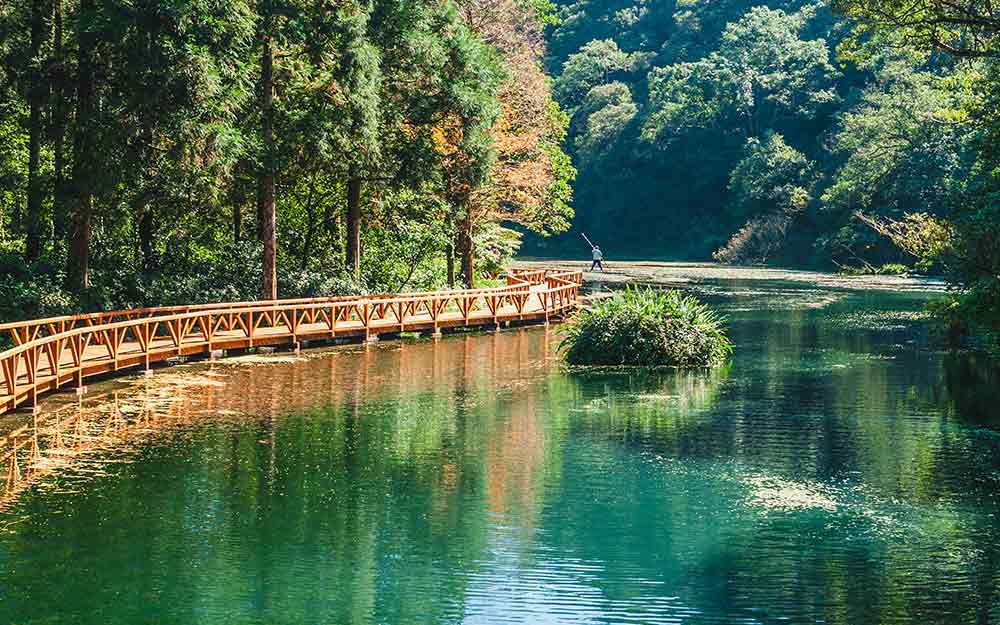 宜蘭★福山植物園★山林秘境生態寶庫