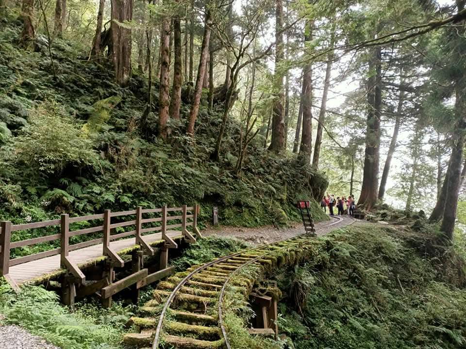 宜蘭★太平山楓葉季～見晴古道+檜木原始林步道★