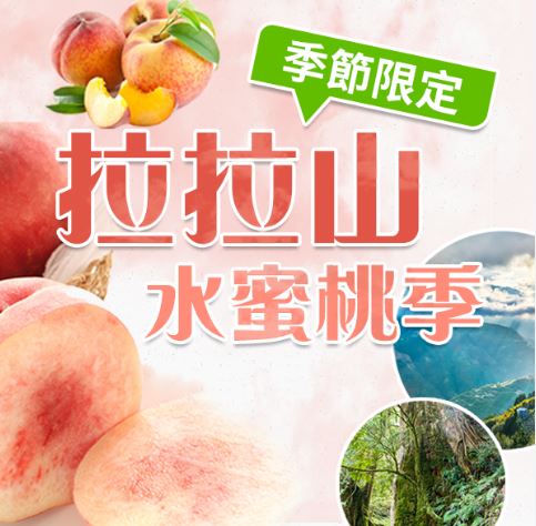 桃園★拉拉山水蜜桃季～神木群步道天然冷氣房★