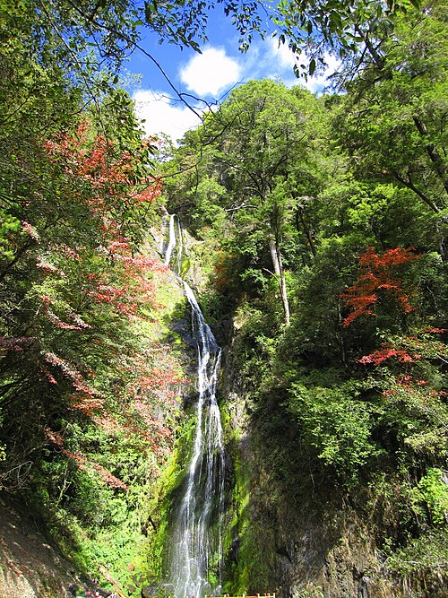 武陵農場高山避暑趣～富野渡假風情(消暑2日遊)