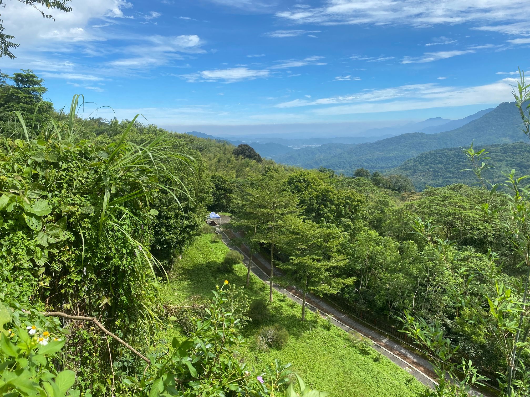 南投★鳳凰谷鳥園生態園區★