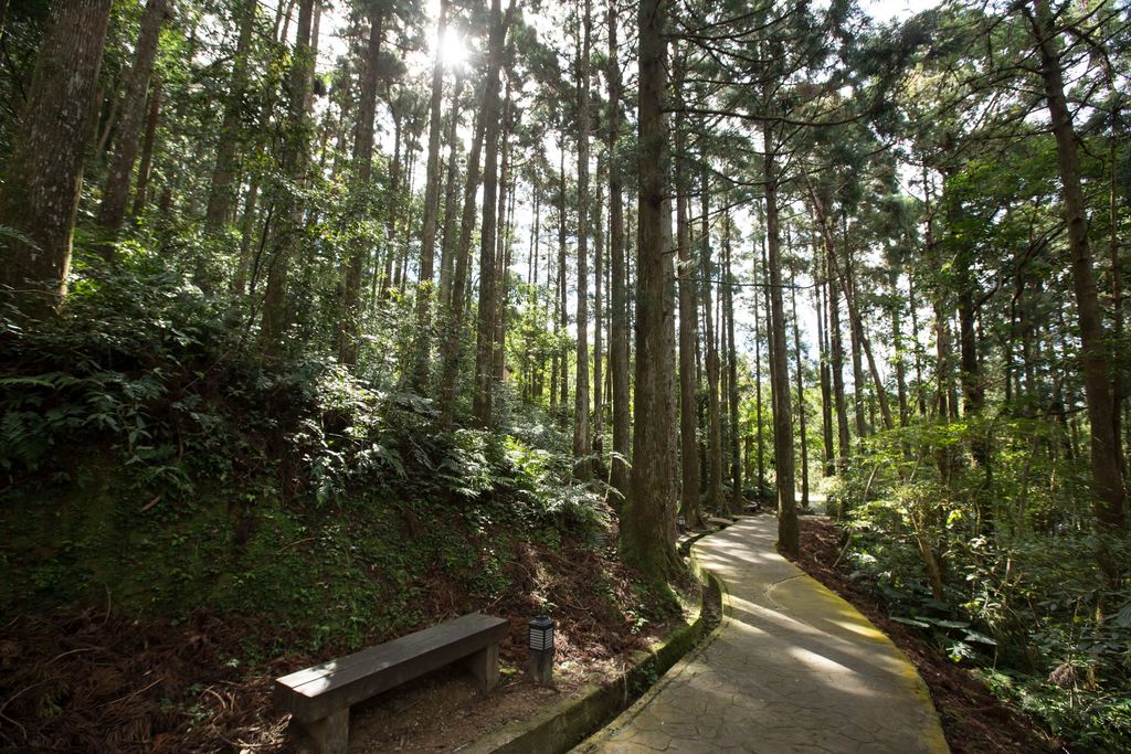 桃園★東眼山森林浴～宇內溪消暑秘境★