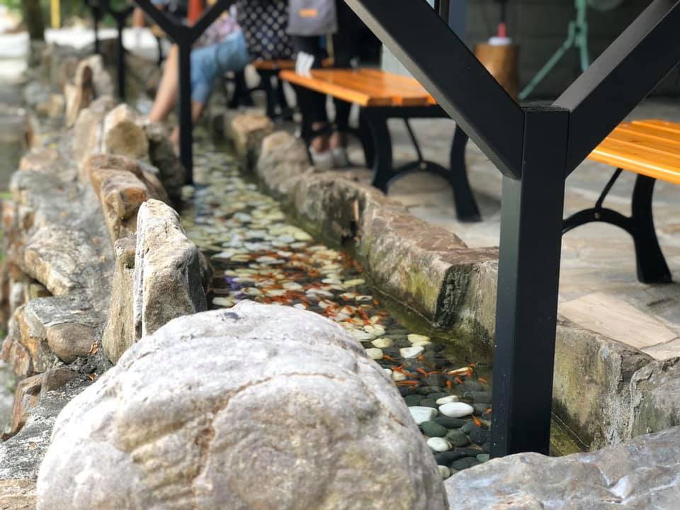 宜蘭★流水森林療癒食光新秘境★