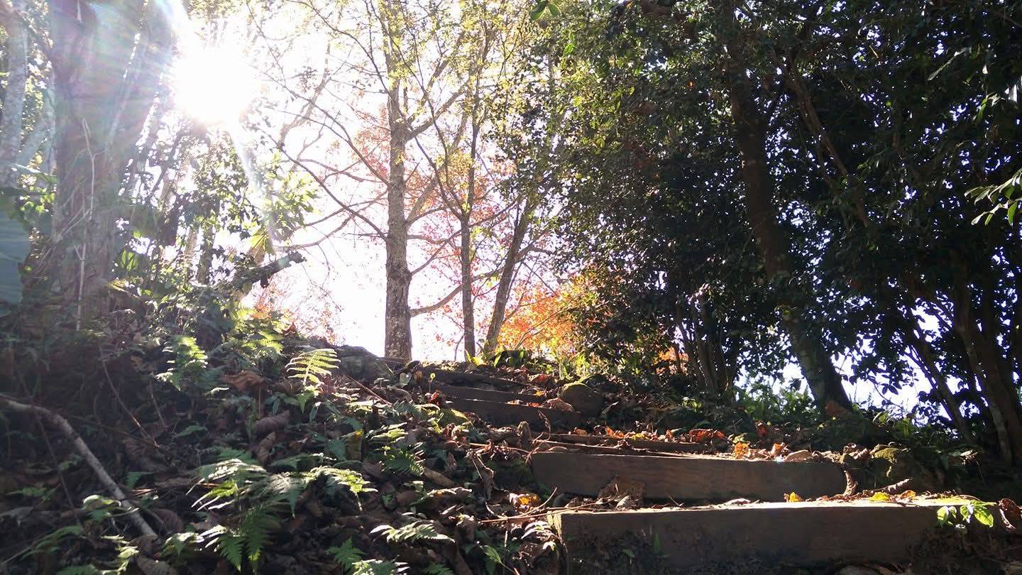 望美山獵人古道、八通關古道、東埔美人湯(健行2日遊) 