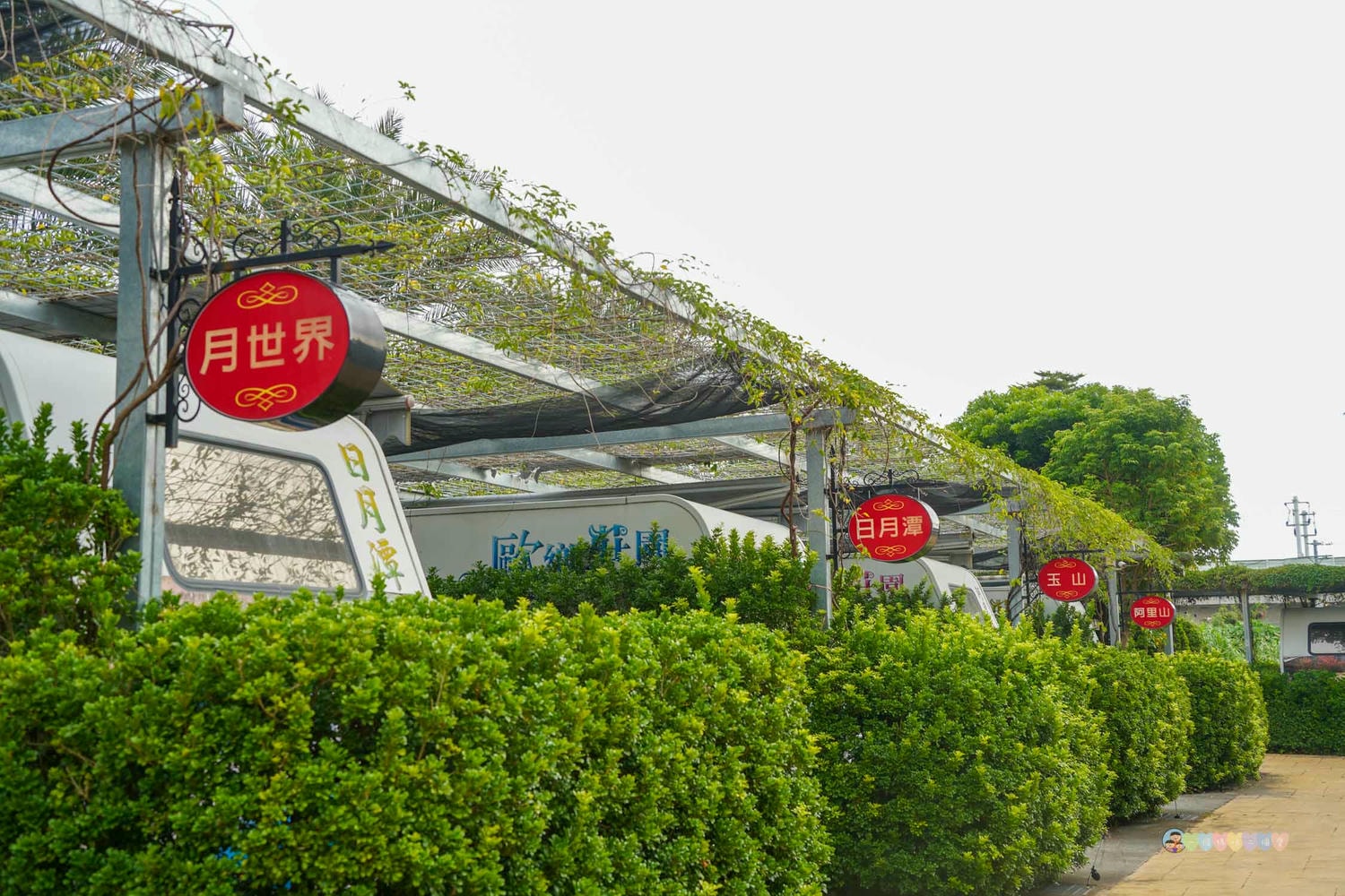 歐鄉莊園露營趣～新開幕海洋生態館｜台灣茶金歲月風華(特惠2日遊)