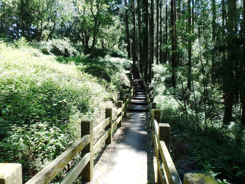 神阿縱走、大凍山步道、貓囒山步道(健行3日遊)