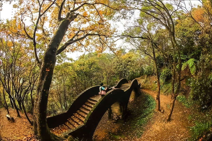 基隆★楓醉拱北殿一日三塔★