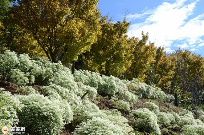 台中★沐心泉休閒農場∼人間仙境品味食光★
