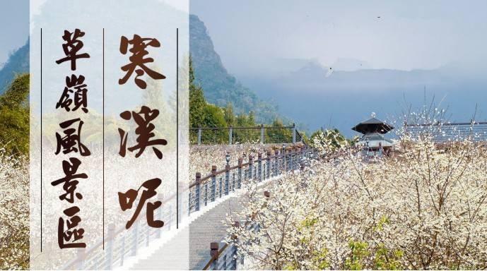 草嶺世外桃源～寒溪呢櫻花季．五元二角鄉情(悠活2日遊)