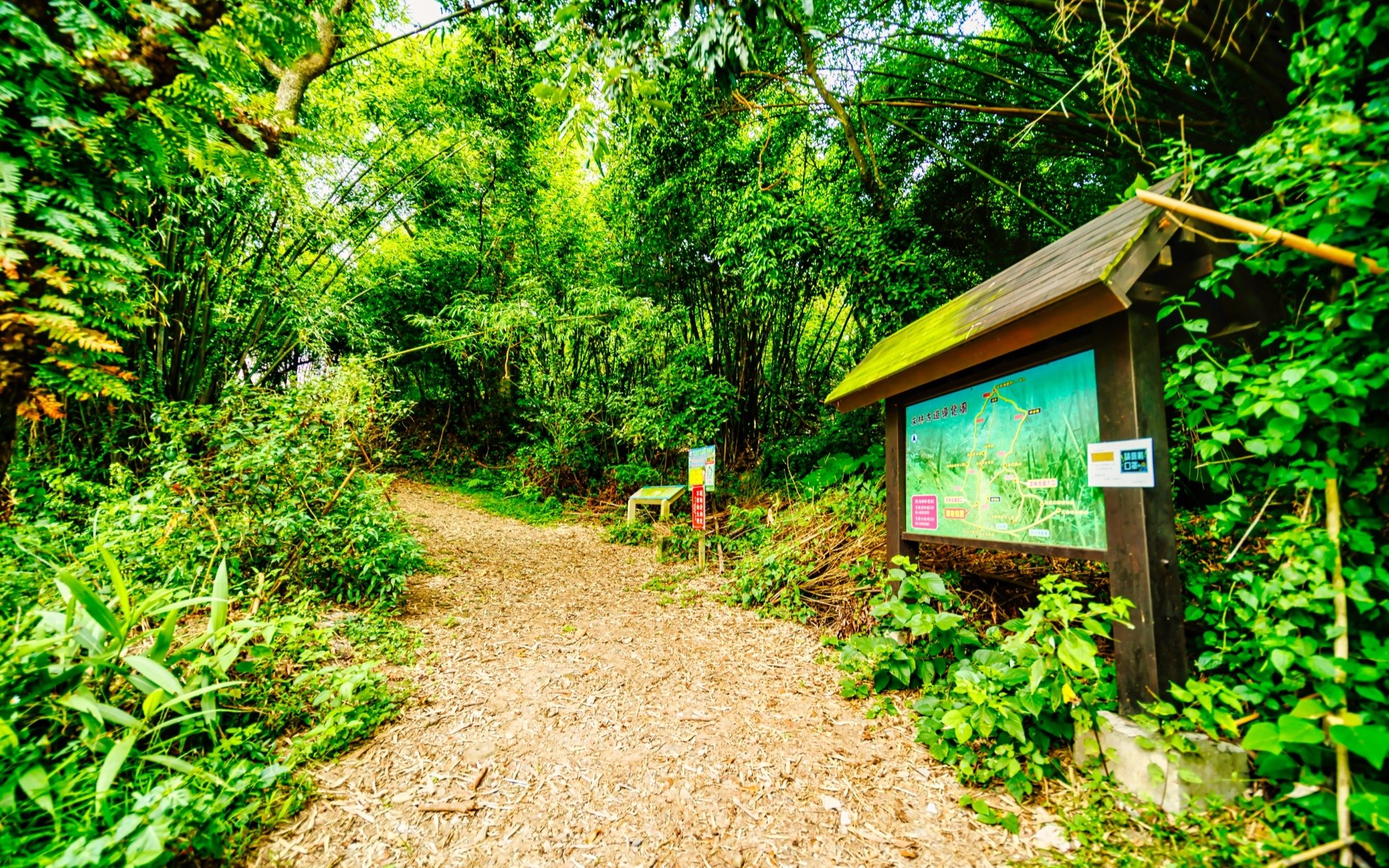 新竹★文林生態古道∼芎林客家文化小旅行★