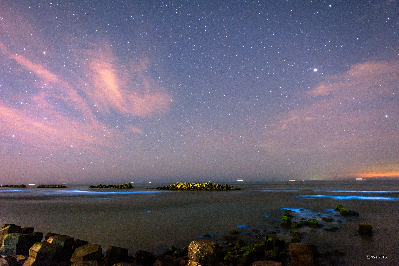 台南夢幻藍眼淚、小琉球東港鮪魚季（三日遊）