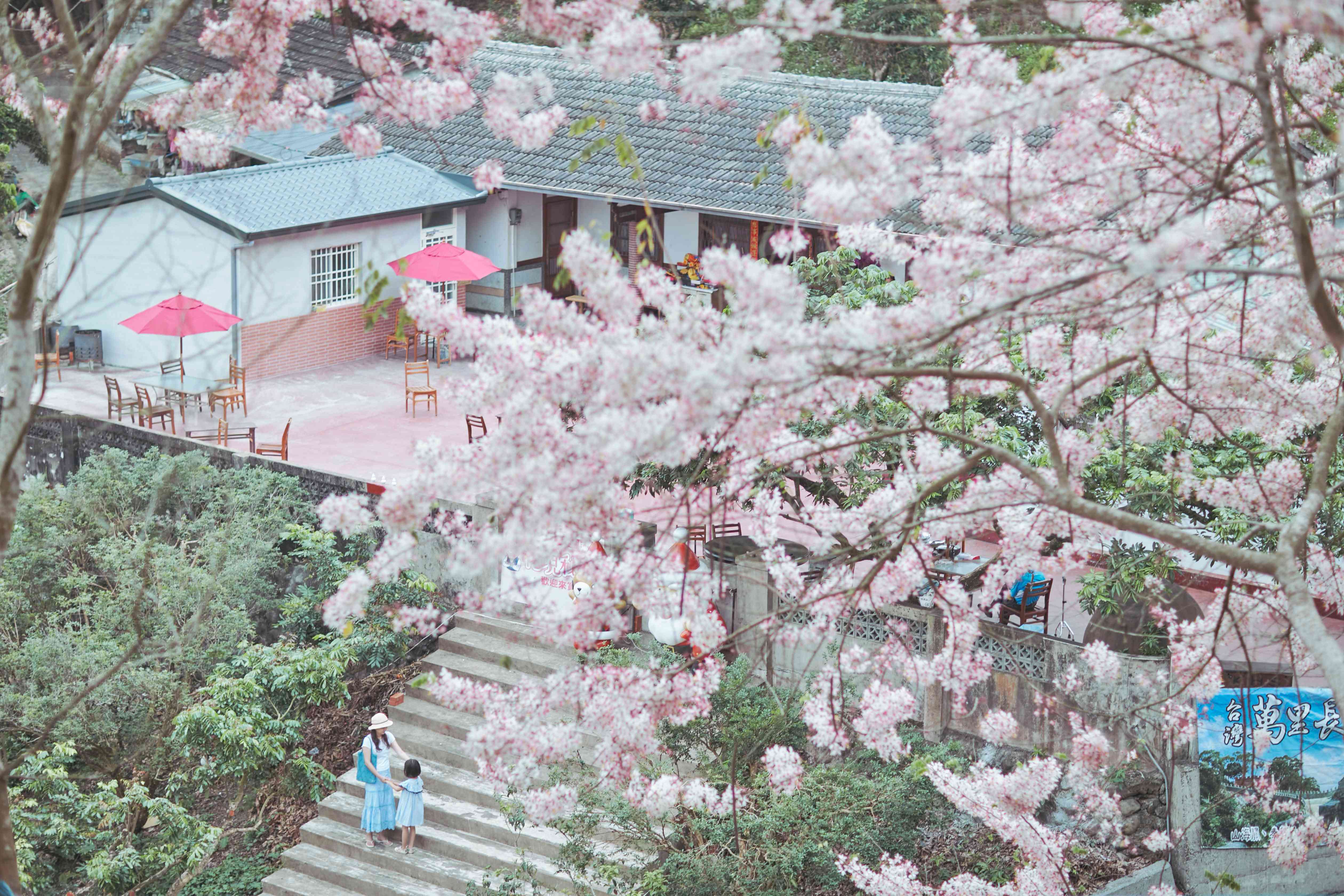 阿拉伯粉紅村∼台版迪士尼樂園（歡樂2日遊）