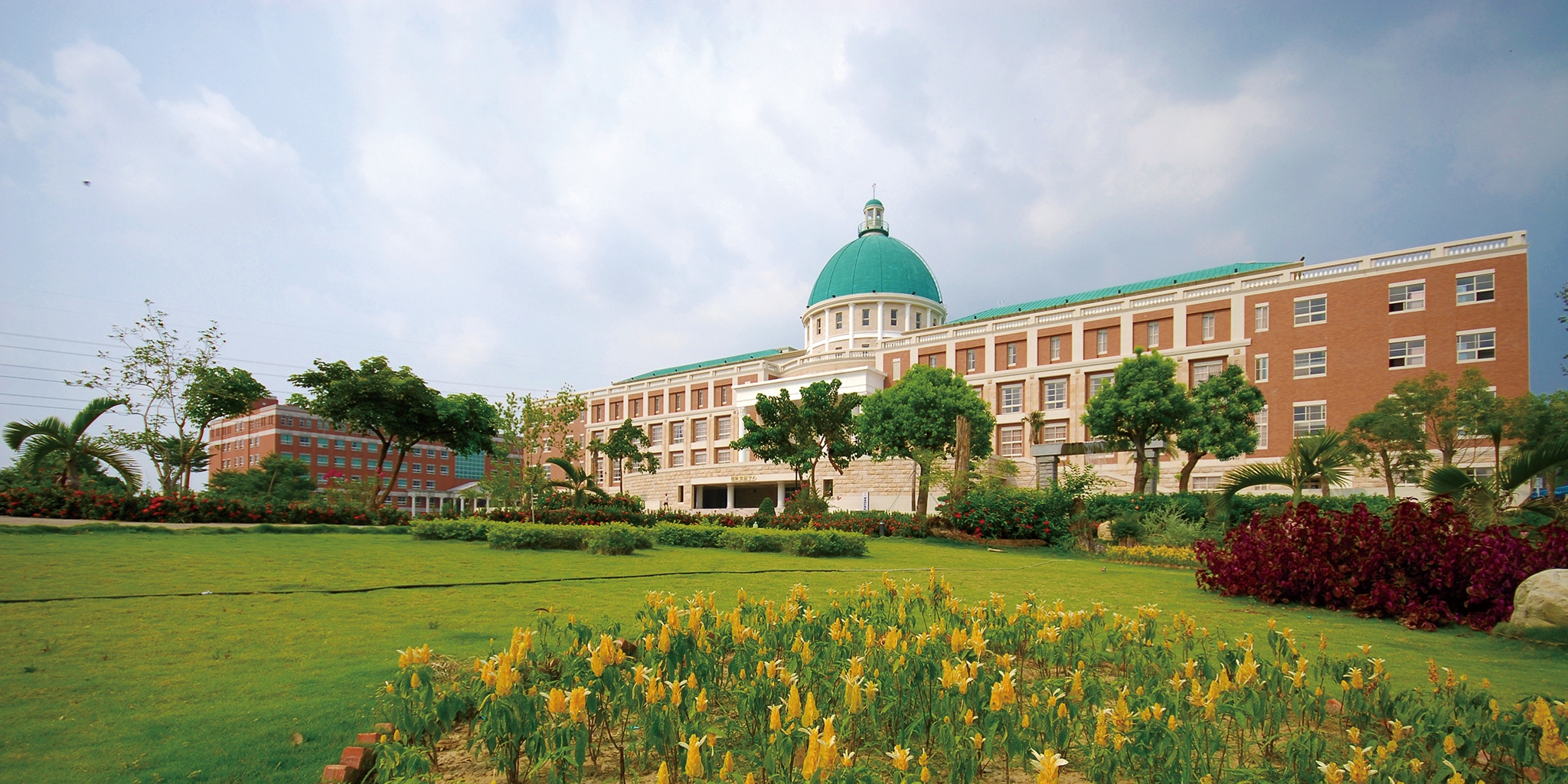 南投★醉美的亞洲大學(泰國櫻)粉嫩花旗木