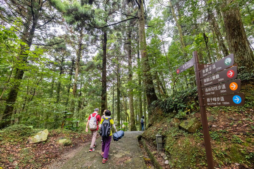 桃園★東眼山森林浴避暑勝地★