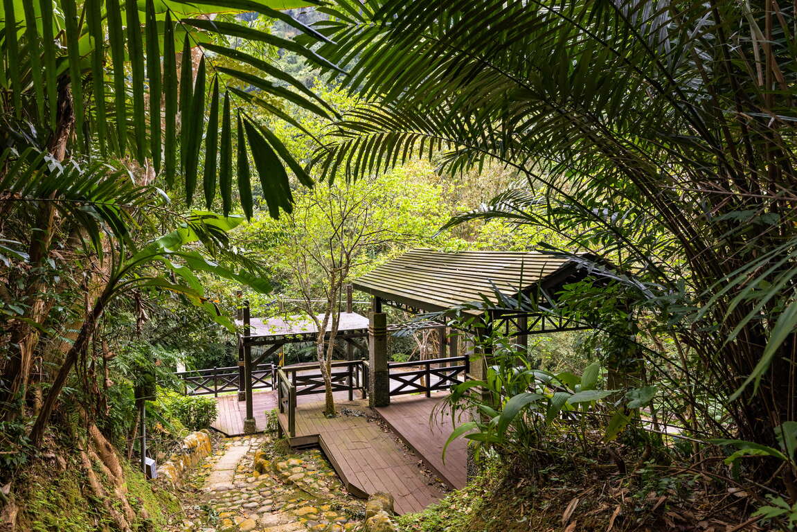 苗栗★獅頭山風景區六寮古道+藤坪古道★