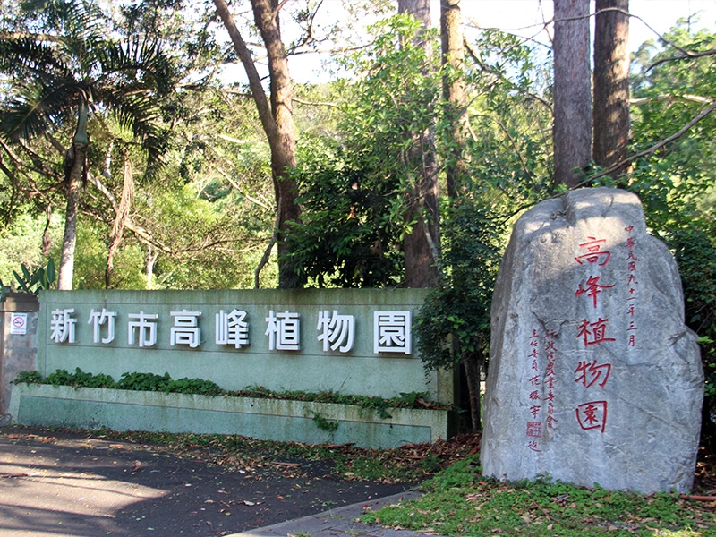 新竹★高峰百年植物園～四月雪桐花飄香季★