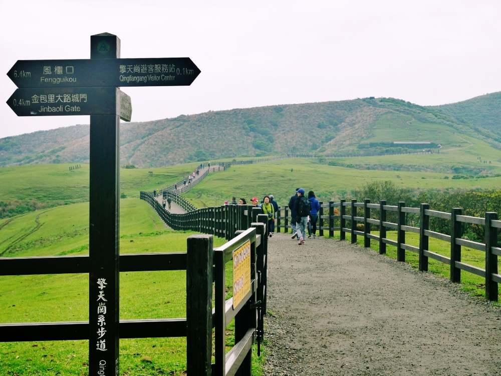 新北★擎天崗青青草原春の饗宴★