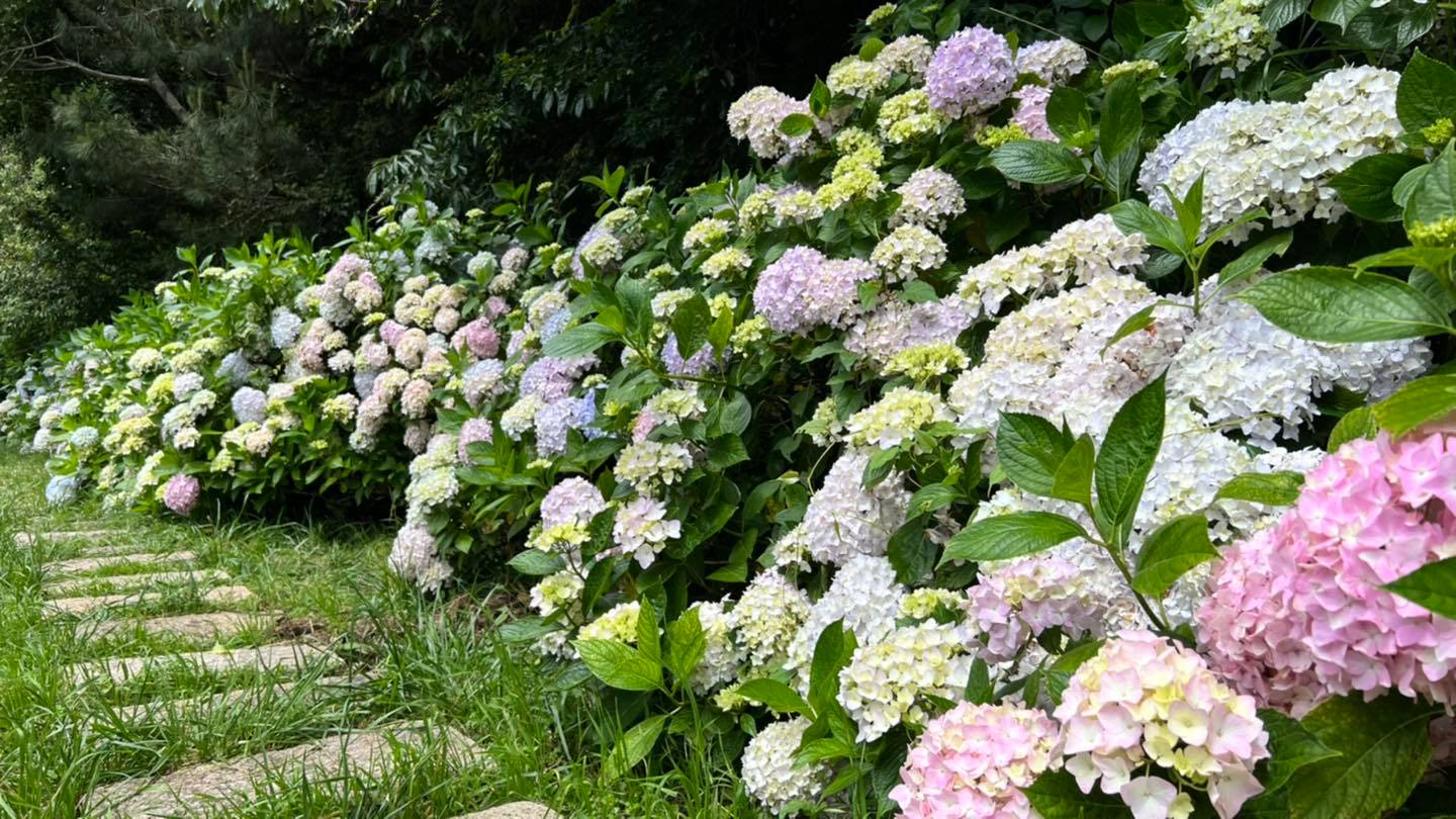 武陵繡球花海渡假風情(特惠2日遊)