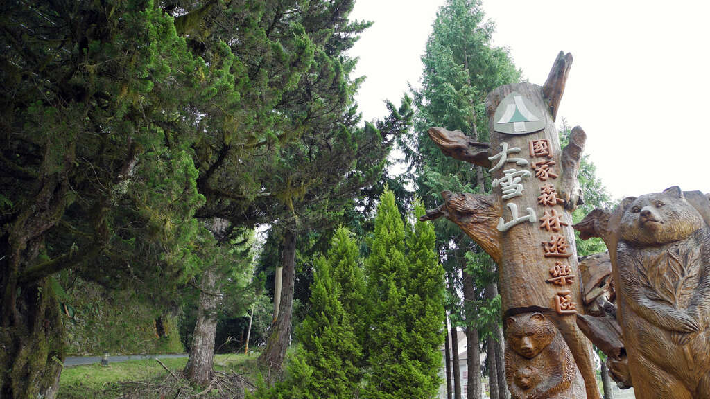 台中★大雪山森林遊樂區避暑輕旅行★