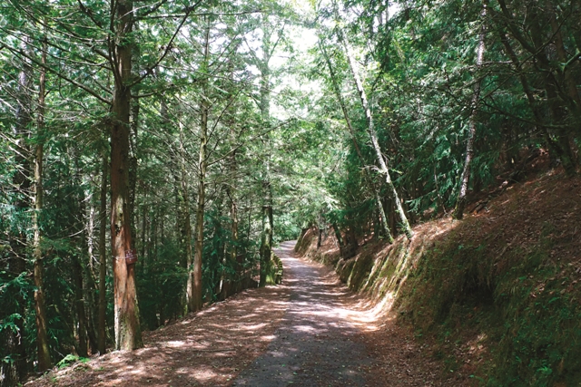 武陵雪山登山步道～桃山瀑布健行之旅（探索2日遊）