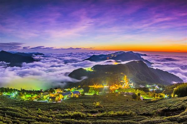 【8人小巴】瑞里風情～阿里山二萬坪秘境 (健行2日遊)