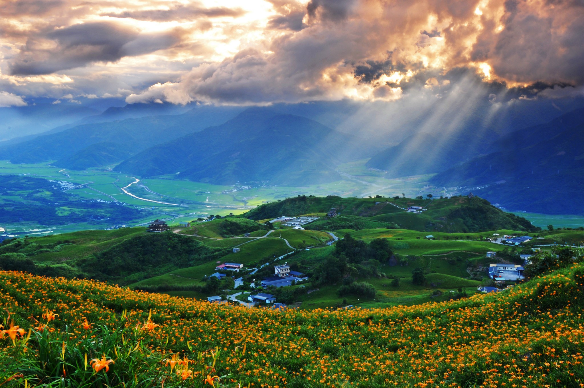 【8人小巴】小瑞士黃金花海∼再現南橫風華(環島3日遊)